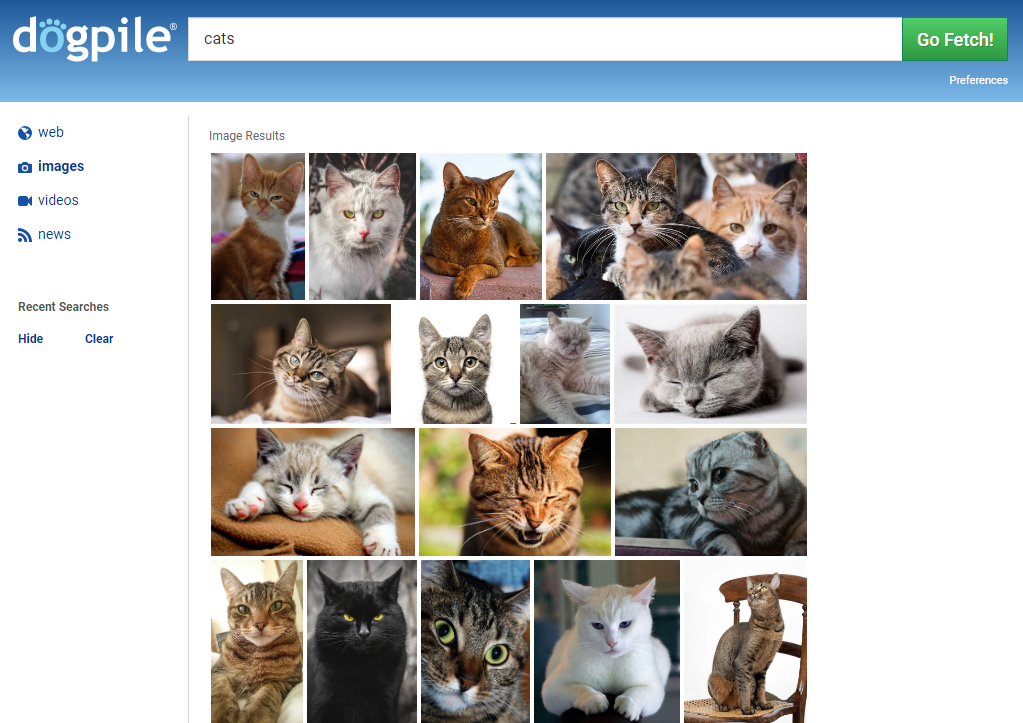 Dogpile Images