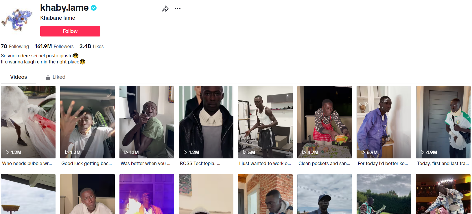 Social::TikTok::Profile
