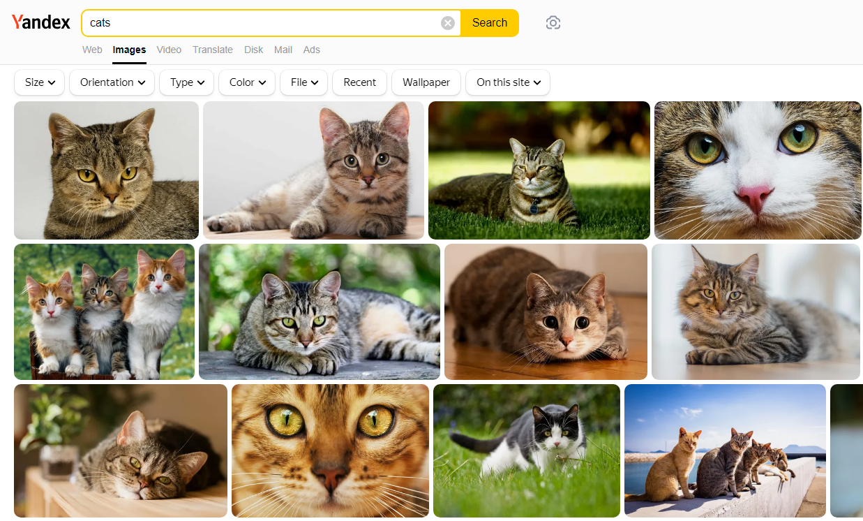 Yandex Images