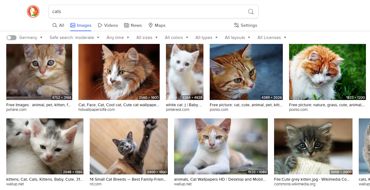 Dogpile Images