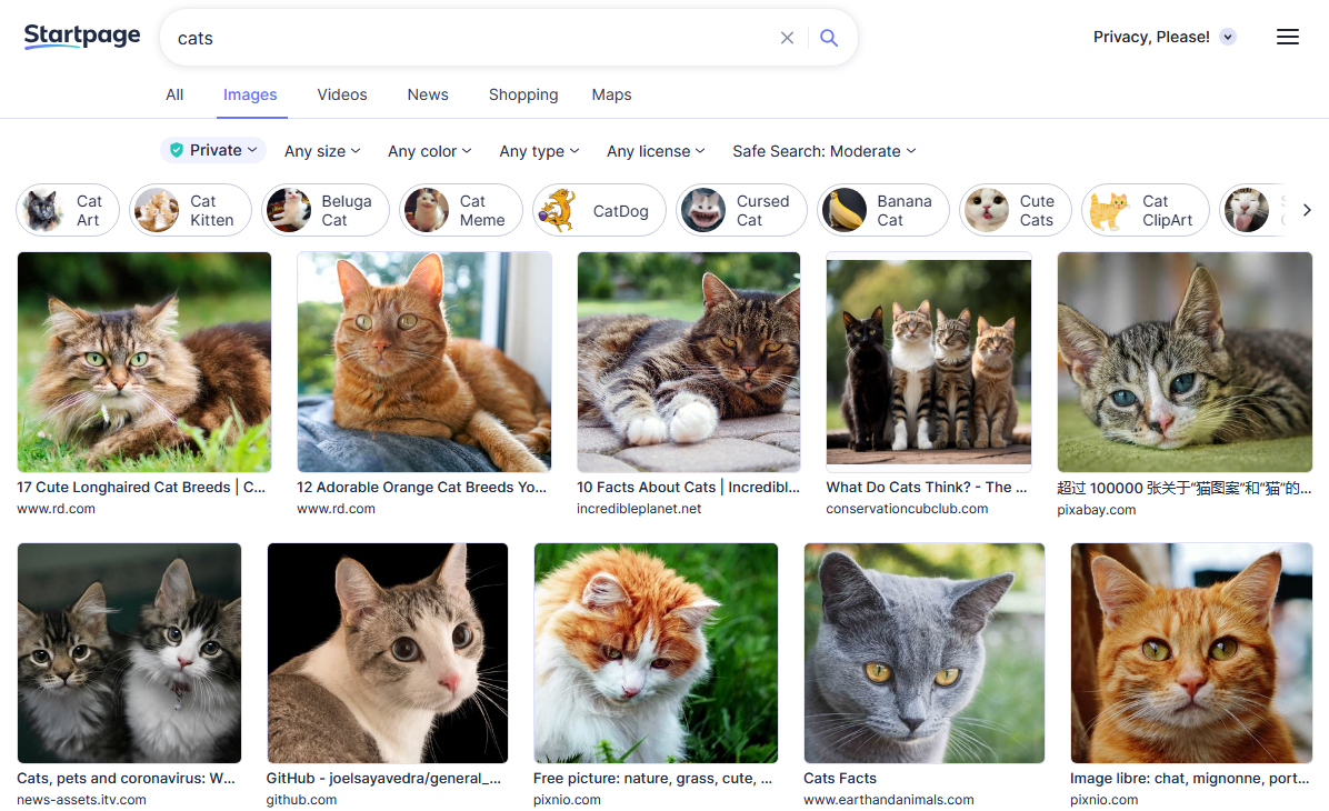 Startpage Images