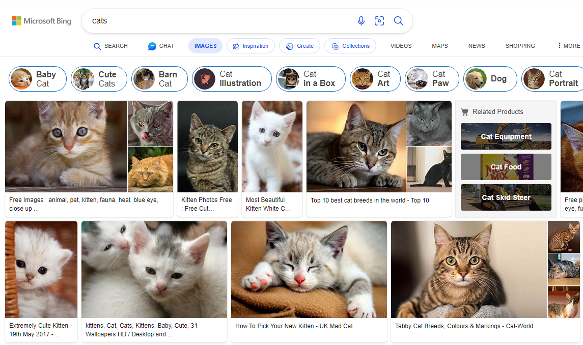 Bing Images