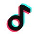 Raccolta dati dai profili TikTok